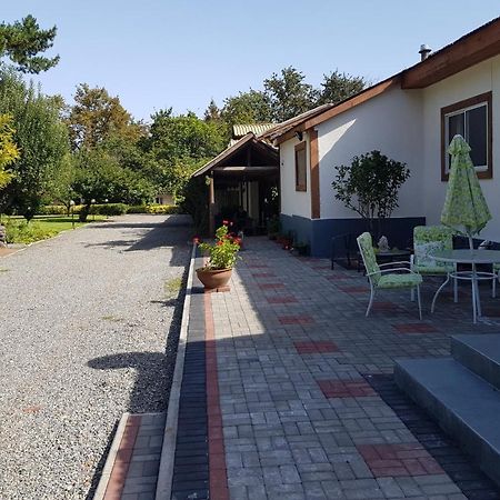 Lodge Mirador Chillan Ngoại thất bức ảnh