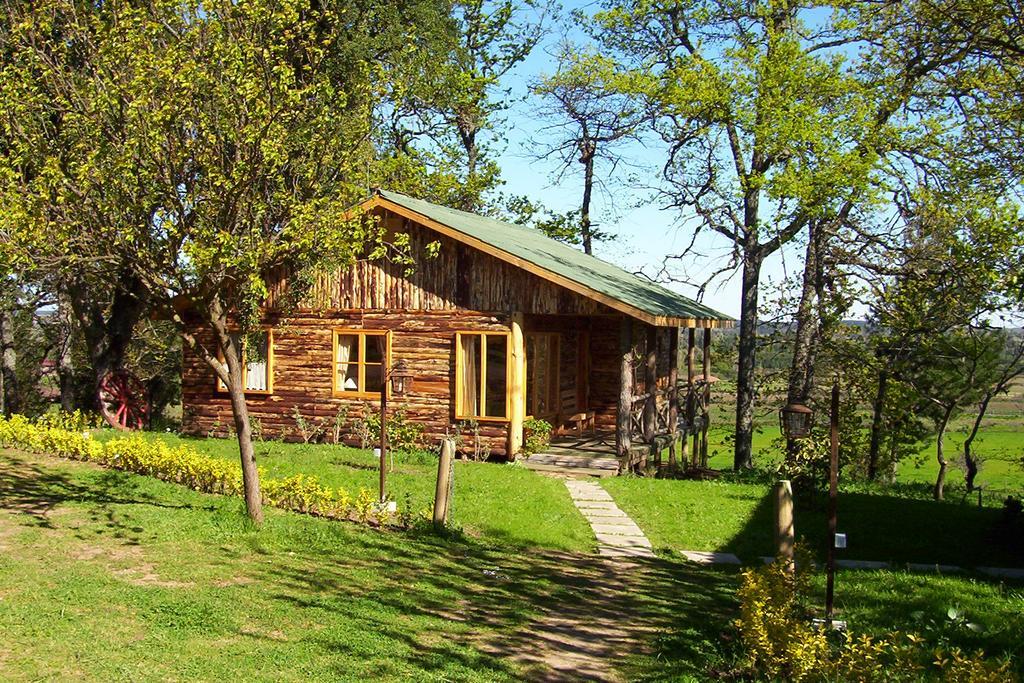 Lodge Mirador Chillan Ngoại thất bức ảnh